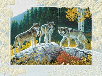 Autumn Wolves | Wildlife inspirational birthday greeting cards