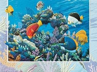 Save Our Reefs | Sealife embosseb birthday greeting cards