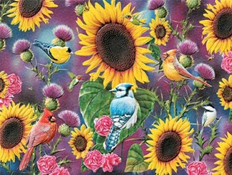 Sunflower Fiesta | Floral inspirational birthday note cards