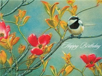 Pink Dogwood | Chickadee birthday note cards