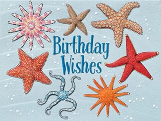Stars of the Sea | Starfish birthday  note cards