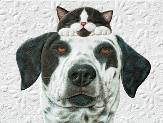 Pals | Pet lover birthday greeting cards