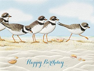 Plover Party | Shorebird inspirational birthday cards