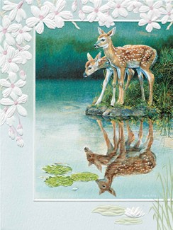 Whitetail Fawns | Embossed deer birthday greeting cards