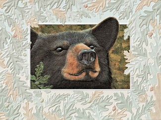 Curious Black Bear | Bear birthday note cards