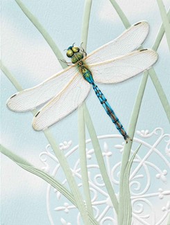 Dragonfly Jewel | Insect birthday note cards