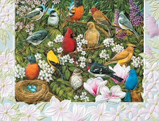Beautiful Birds | Songbird birthday note cards