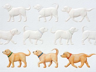 Golden Parade | Dog lover birthday note cards