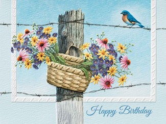 Balancing Bluebird | Embossed songbird note cards