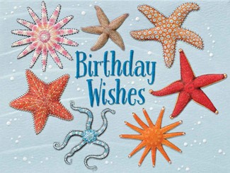 Stars of the Sea | Starfish birthday  note cards