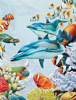 Ornate Ocean | Sealife birthday note cards