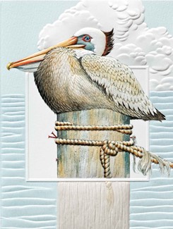 Pensive Pelican | Embossed birthday note cards, Made in the USA