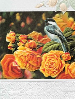 Rosy Perch | Chickadee birthday note cards, Made in the USA