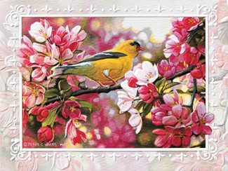 Golden Touch | Goldfinch birthday note cards