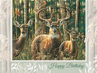 Forest Family | Deer birthday note cards