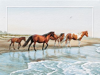 Ponies of Chincoteague | Horse themed birthday cards