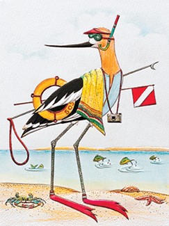 Snorkeling Avocet | Shorebird themed birthday cards