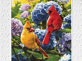 Hydrangea Hideaway | Songbird themed greeting cards