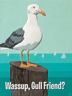 Gull Friend | Beach themed birthday note cards