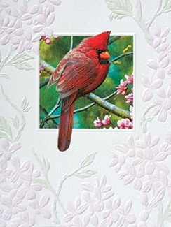 Spark of Ruby | Cardinal inspirational note cards