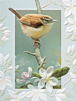 Carolina Wren | Songbird embossed blank note cards