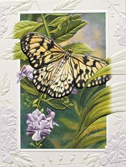 Rice Paper Butterfly | Butterfly inspirational greeting cards