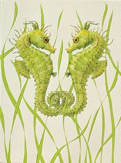 Seahorse Duo | Sealife inspirational greeting cards