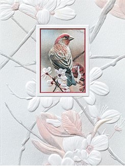 Pretty Perch | Songbirds embossed inspirational note cards
