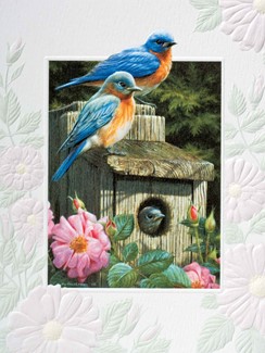 Garden Bluebirds | Bluebird note cards