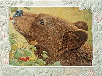 The Berry Picker | Bear embossed note cards