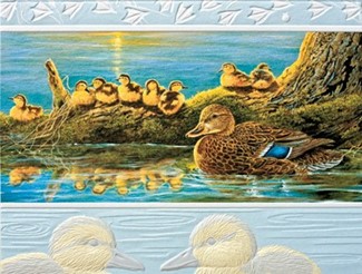 Mallard Ducklings | Wildlife note cards