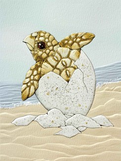 Turtle Hatchling | Embossed turtle note cards