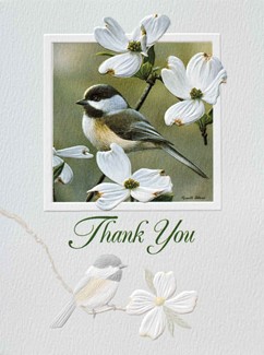 Spring Chickadee | Thank you note cards