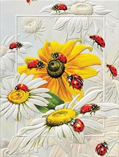 Lucky Ladies | Ladybug note cards