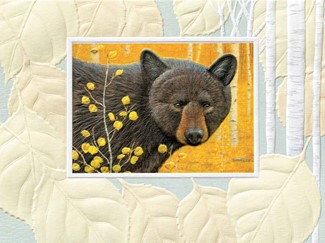 Just Passin' Through II | Black bear note cards