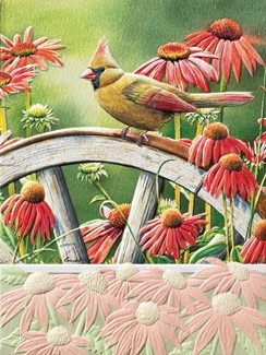 Hiding In Plain Sight II (BK) | Embossed songbird note cards