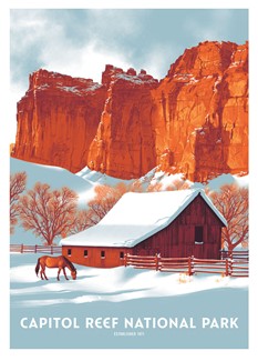 FNP Capitol Reef Postcard