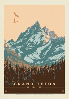 Grand Teton NP Morning Glory Postcard