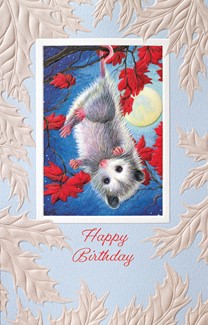 Moon Baby | Birthday greeting cards