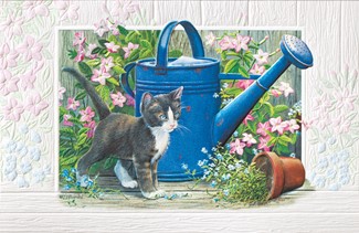 Gardener's Assistant | Birthday greeting cards