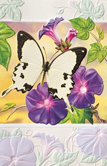 Mocker Swallowtail (BK) | Blank greeting cards
