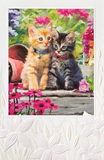The Kitten's Garden (FR) | Greeting cards