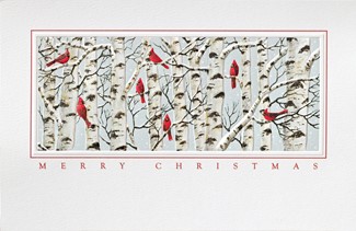 Cardinal Crazy | Bird themed boxed Christmas cards
