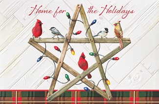 Country Christmas Star | Bird themed boxed Christmas cards