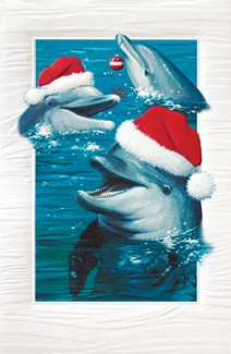 Dashing Dolphins | Coastal themed Christmas cards