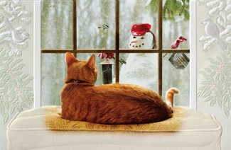 Mr. Tut's Christmas Morning | Cat & Dog boxed Christmas cards
