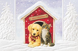 Doghouse Duo | Cat & Dog boxed Christmas cards