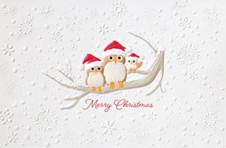 Owl Trio | Christmas Deluxe