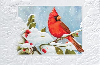 Regal Red | Bird themed boxed Christmas cards