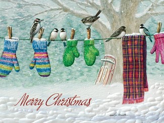 Clothesline Choir | Photographic boxed Christmas cards